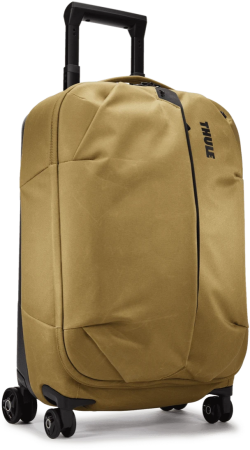 Thule Aion Nutria